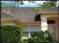 Roof Cleaning Tampa Palms