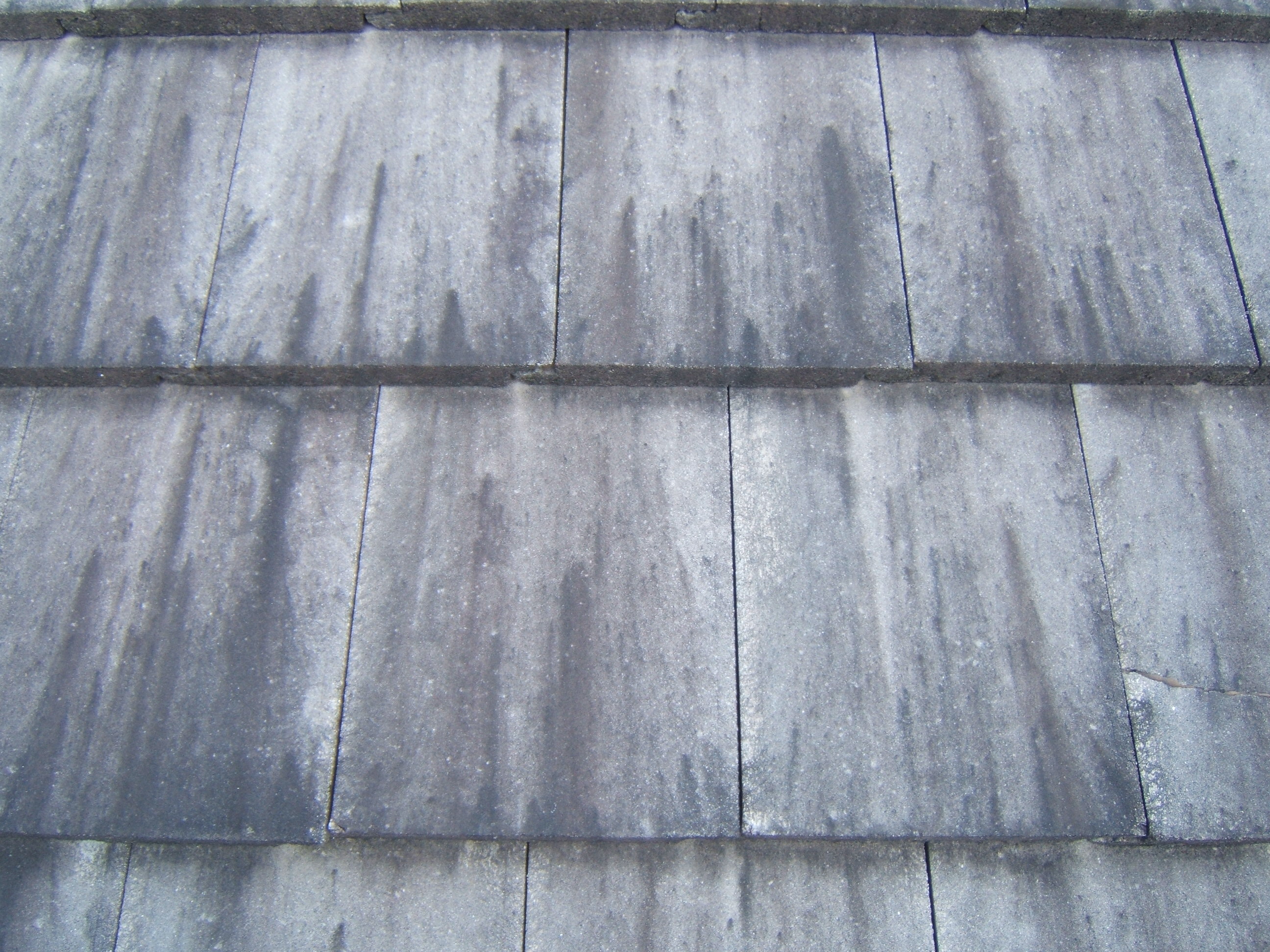 Tampa Florida Low Pressure Roof Cleaning
