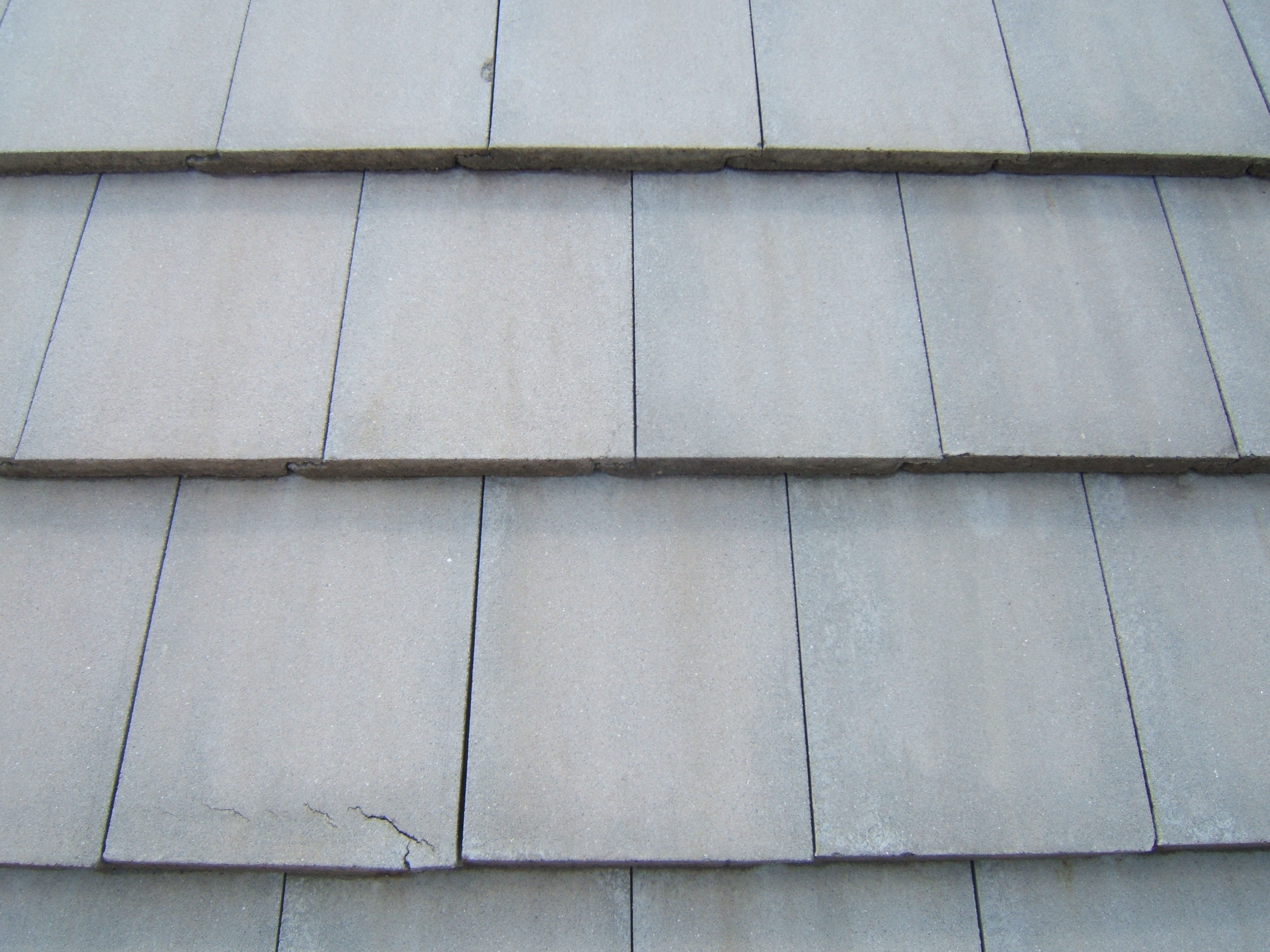 Tampa Palms Shingle No Pressure Roof Cleaning