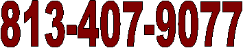 813-407-9077