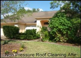 non pressure roof cleaning Tampa