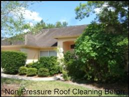 Low Pressure Roof Cleaning Tampa