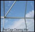 pool cage washing Tampa