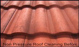 Roof cleaning, Lutz, Wesley chapel, Land O Lakes, Tampa, South Tampa, New Tampa, North Tampa, Carrollwood, Plant City, Tampa Palms, Hunters Green, Oakstead, Cory Lake Isles, Heritage Harbor, reflections Lutz, Seven Oaks, Westchase, West Meadows, Temple terrace