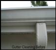 Gutter Cleaning Tampa